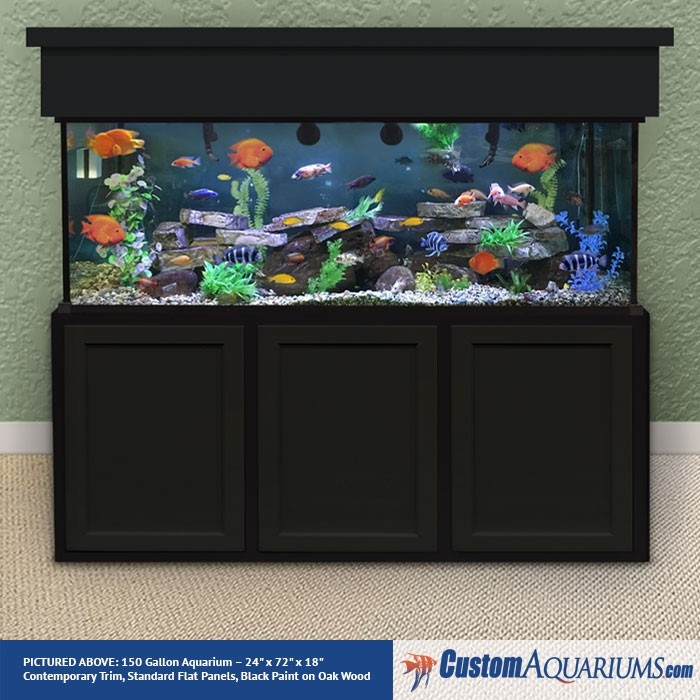 150 Gallon Aquarium - Custom Glass Fish 