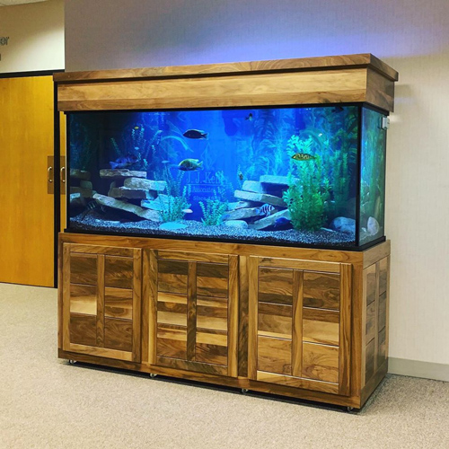 Afdeling gelijktijdig Strippen Custom Aquariums, Glass Fish Tanks, DIY Aquariums, Saltwater Aquariums