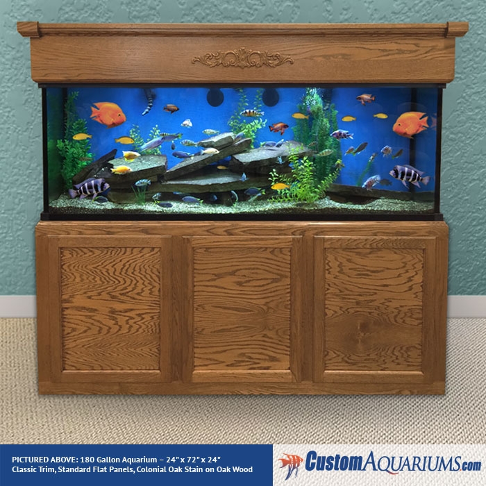 Geruststellen geduldig vrede 180 Gallon Aquarium - Custom Glass Fish Tank - Custom Aquariums