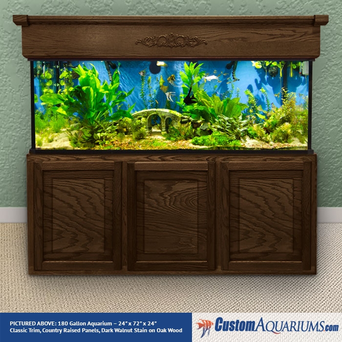 180 Gallon - Custom Glass Fish - Aquariums