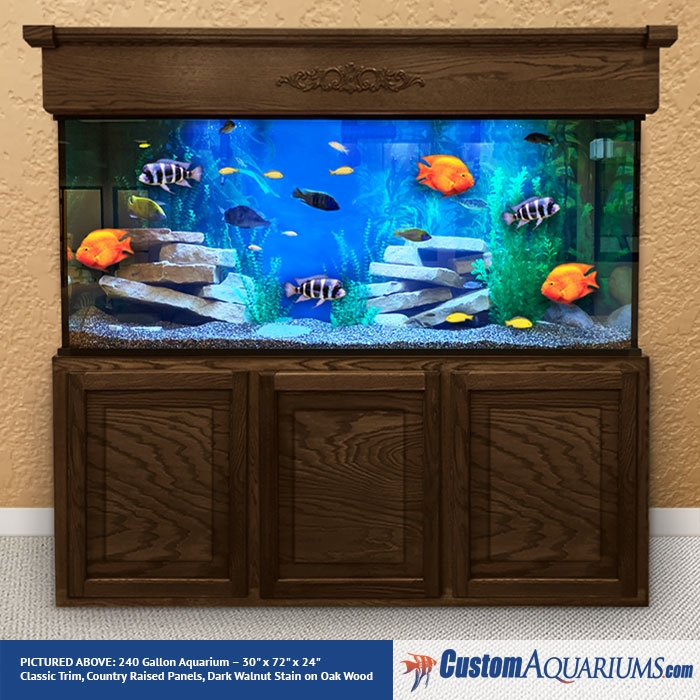 motief Peer solo 240 Gallon Aquarium - Custom Glass Fish Tank - Custom Aquariums