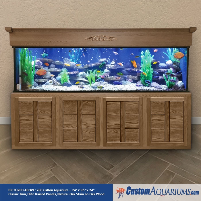 280 Gallon Aquarium Custom Glass Fish - Custom Aquariums