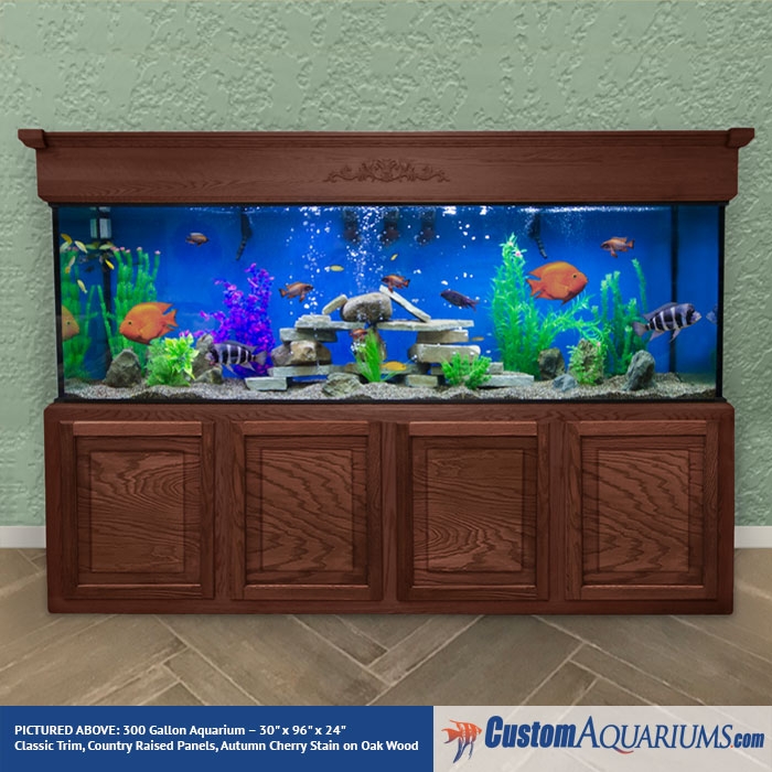 vocaal Verminderen Verzoekschrift 300 Gallon Aquarium - Custom Glass Fish Tank - Custom Aquariums