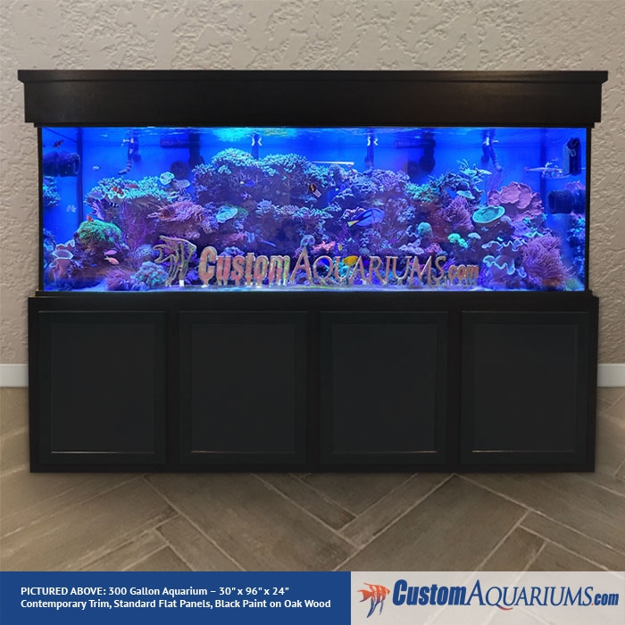 75 Gallon Fish Tank Dimensions - 300 Gallon Aquarium 30 X 96 X 24 Black Paint Contemporary Style StanDarD Flat Panels Showcase