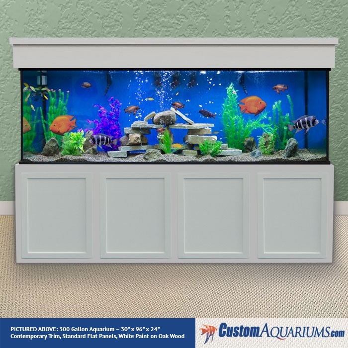vocaal Verminderen Verzoekschrift 300 Gallon Aquarium - Custom Glass Fish Tank - Custom Aquariums