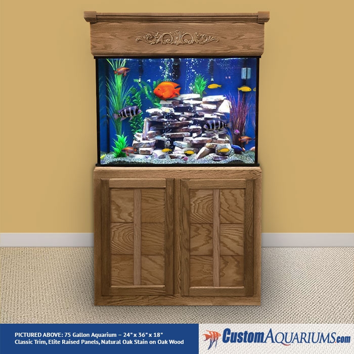 Aquarium Package Specials Custom Aquariums