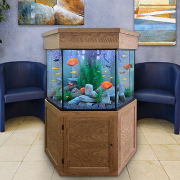 Hexagon Fish Tanks Custom Aquariums
