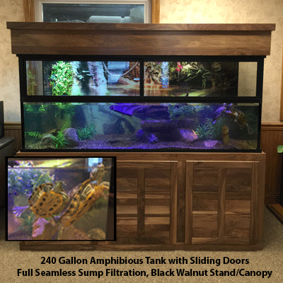 https://www.customaquariums.com/wp-content/uploads/2021/04/240-gallon-glass-turtle-tank-amphibious-tank.gif