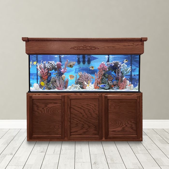 veiligheid Absoluut contrast 180 Gallon Saltwater Aquarium - Custom Glass Fish Tank - Custom Aquariums