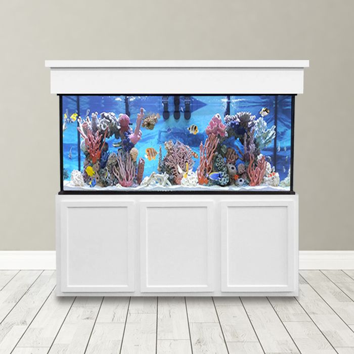240 Gallon Saltwater Aquarium - Custom Glass Fish Tank - Custom Aquariums