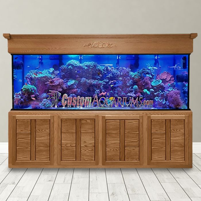 240 Gallon Saltwater Aquarium - Custom Glass Fish Tank - Custom Aquariums