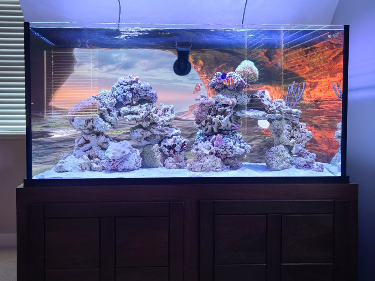 Aquarium Backgrounds - Custom Aquariums