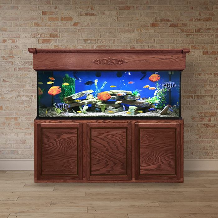 150-175 Gallon Maintenance / Decor Package - Custom Aquariums