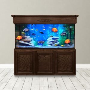 240 Gallon Aquarium - Custom Glass Fish Tank - Custom Aquariums