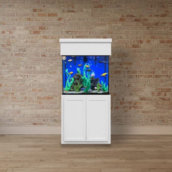 240 Gallon Aquarium - Custom Glass Fish Tank - Custom Aquariums